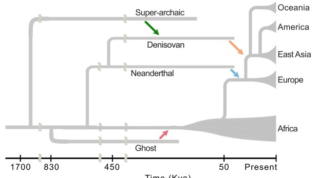 Los denisovanos se multiplican: nuevos fósiles y una historia evolutiva más&nbsp;compleja